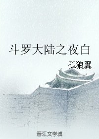 (斗罗大陆同人)斗罗大陆之夜白