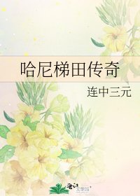 哈尼梯田传奇